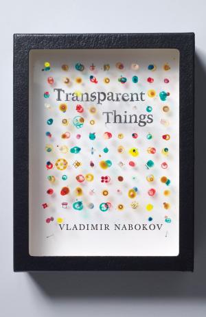 Cover of the book Transparent Things by Janet Meade