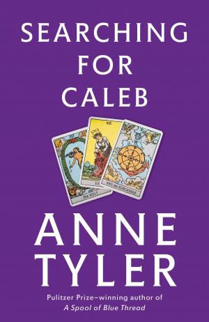 Cover of the book Searching for Caleb by 