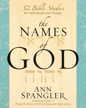 Cover of the book The Names of God by David Olshine