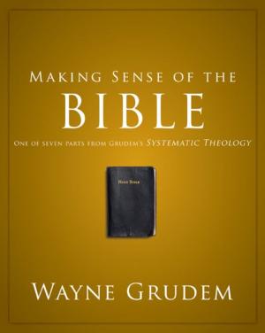 Cover of the book Making Sense of the Bible by John H. Sailhamer