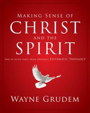 Cover of the book Making Sense of Christ and the Spirit by J. Rodman Williams