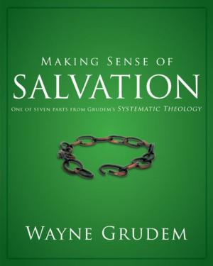 Cover of the book Making Sense of Salvation by Lynn H. Cohick, Tremper Longman III, Scot McKnight