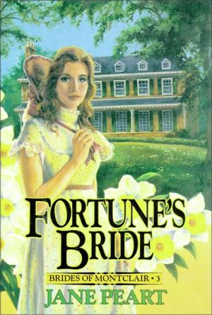 Cover of the book Fortune's Bride by Mark Batterson