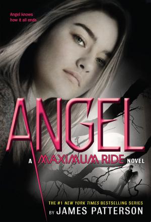 Cover of the book Angel by Michael Ruhlman