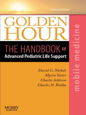 Book cover of Golden Hour E-Book
