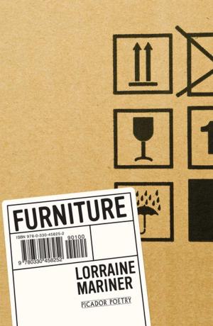 Cover of the book Furniture by Anthony Horowitz