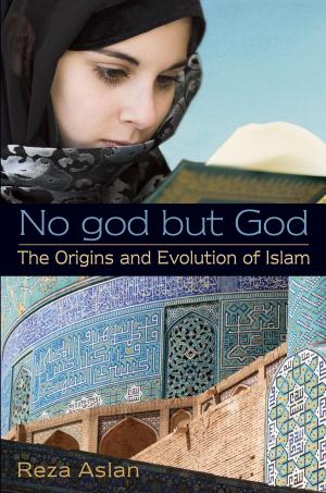 bigCover of the book No god but God: The Origins and Evolution of Islam by 