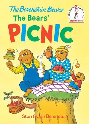 Cover of the book The Bears' Picnic by Judy Blume