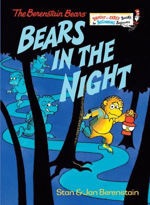 Cover of the book Bears in the Night by Scott Reintgen