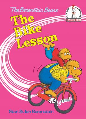 Book cover of The Bike Lesson
