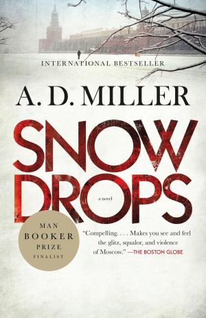 Cover of the book Snowdrops by Vladimir Nabokov