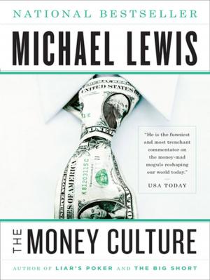 Book cover of The Money Culture