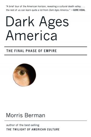 Cover of the book Dark Ages America: The Final Phase of Empire by Seth Shulman