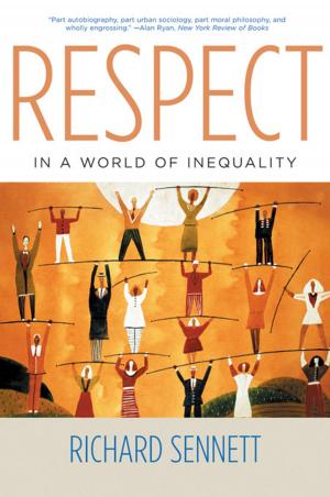 Book cover of Respect in a World of Inequality