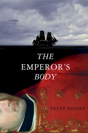 Book cover of The Emperor's Body: A Novel