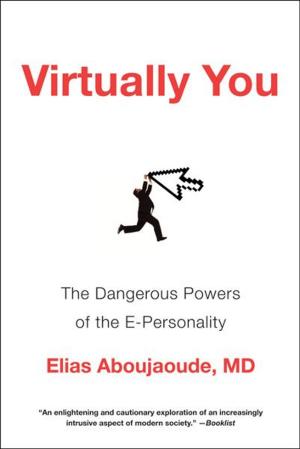 Cover of the book Virtually You: The Dangerous Powers of the E-Personality by Christopher C. King