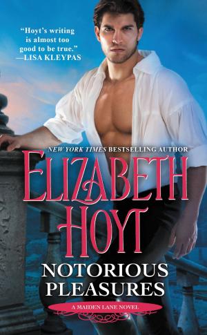 Cover of the book Notorious Pleasures by Mia Sheridan