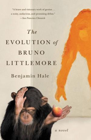 Cover of the book The Evolution of Bruno Littlemore by Caspar Lee