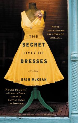 Cover of the book The Secret Lives of Dresses by Winifred Conkling, Stephen R. Devries