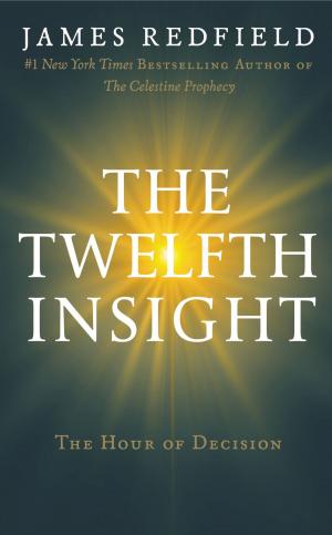 bigCover of the book The Twelfth Insight by 