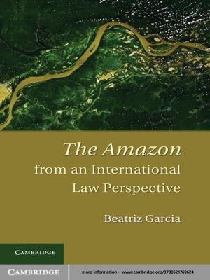 Cover of the book The Amazon from an International Law Perspective by Paul Harpur