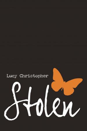 Cover of the book Stolen by Cari Meister