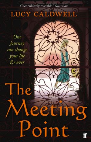 Cover of the book The Meeting Point by Mary Lavin