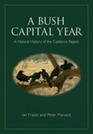 Cover of the book A Bush Capital Year by JC Noble