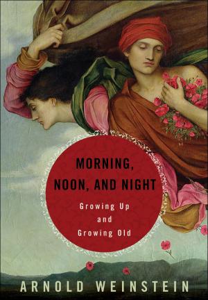 Book cover of Morning, Noon, and Night