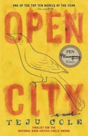 Cover of the book Open City by Reza Aslan