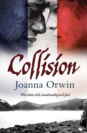 Cover of the book Collision by Karin Slaughter