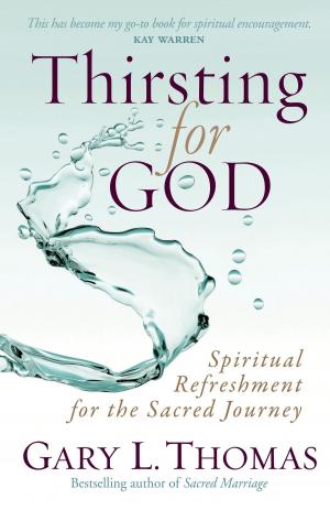 Cover of the book Thirsting for God by Terry Glaspey
