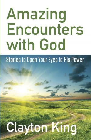 Cover of the book Amazing Encounters with God by Kay Arthur, Pete De Lacy