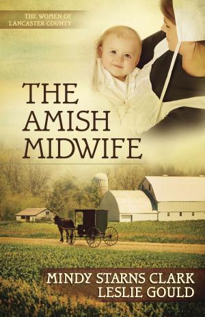 Cover of the book The Amish Midwife by Jeff Kinley