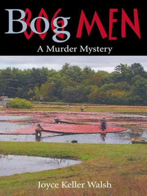 Book cover of Bog Men