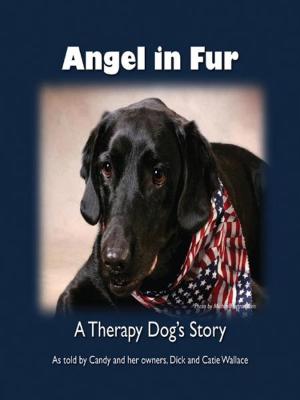 Cover of the book Angel in Fur by Frank T. Mitchell