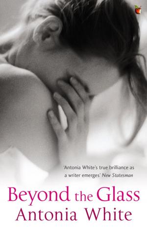 Cover of the book Beyond the Glass by Nina Bawden