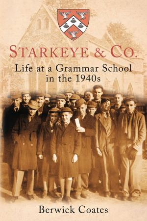 Cover of the book Starkeye & Co by Mike Morgan, Major General David Lloyd Owen