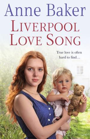 Cover of the book Liverpool Love Song by Paul Doherty