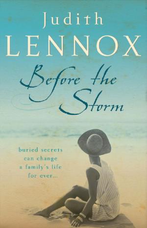 Cover of the book Before The Storm by Nicola Doherty