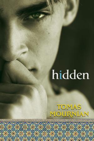 bigCover of the book hidden by 