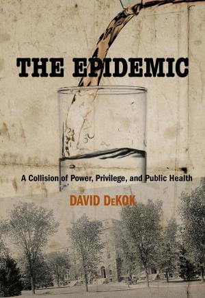 Cover of the book Epidemic by Anastasios Hudson