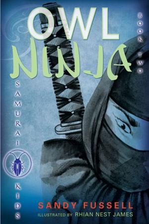 Cover of the book Samurai Kids 2: Owl Ninja by Patrick Ness