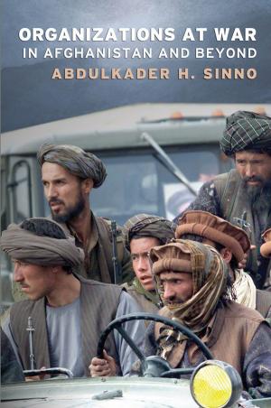 bigCover of the book Organizations at War in Afghanistan and Beyond by 