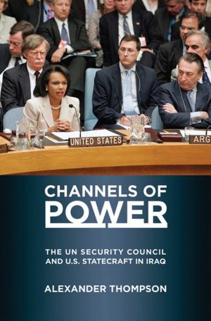 Cover of the book Channels of Power by Jeffrey S. Kopstein, Jason Wittenberg