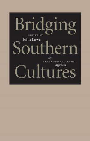 Cover of the book Bridging Southern Cultures by Lee Upton