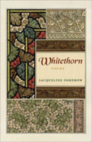bigCover of the book Whitethorn by 