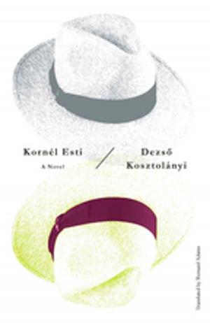 Cover of the book Kornel Esti by César Aira, Roberto Bolaño