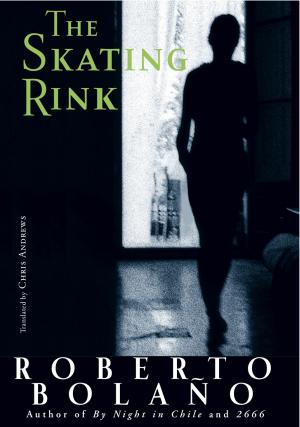 Cover of the book The Skating Rink by José Ramón Torres