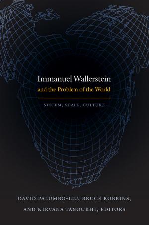 Cover of the book Immanuel Wallerstein and the Problem of the World by Daniel M. Goldstein
